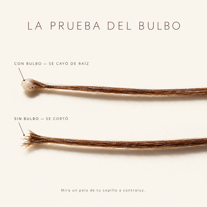 No es caída, es quiebre: el Shampoo de Batana que cuida el pelo que ya tienes